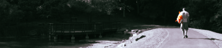 la possession banner